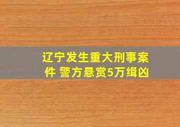 辽宁发生重大刑事案件 警方悬赏5万缉凶